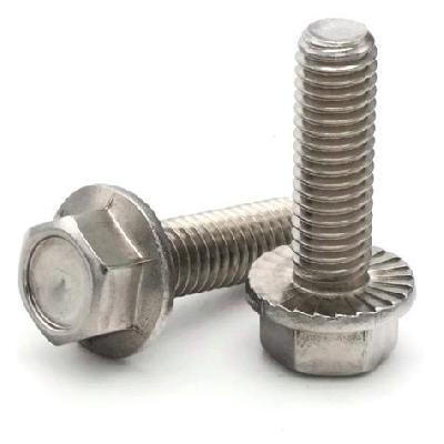 Hex-Cap Screws and Flange Bolt