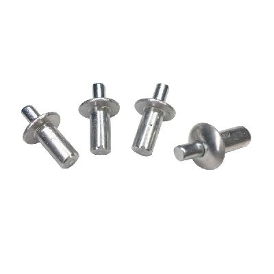 Pin Rivet