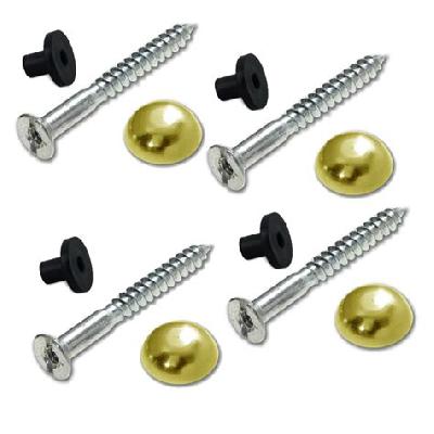 Mirror Screws