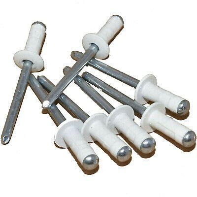 Powder Coated Blind Rivet