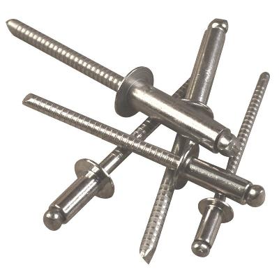 SS Blind Rivet