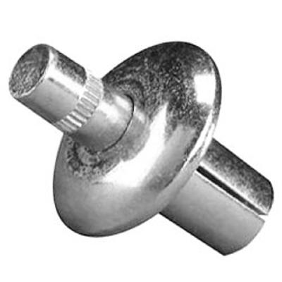 Drive rivets