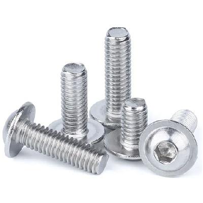 Ss Screws M6 X 19 Mm Grade 304