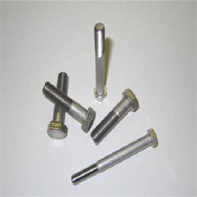 MS Screws