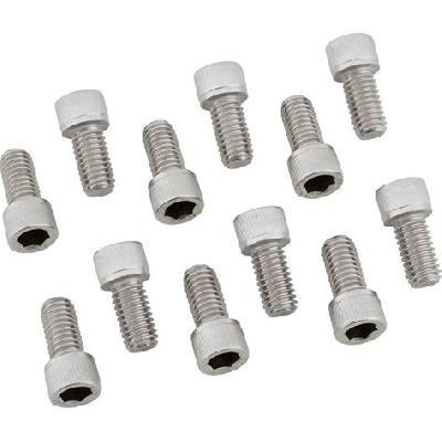 Stainless Steel Allen Bolts