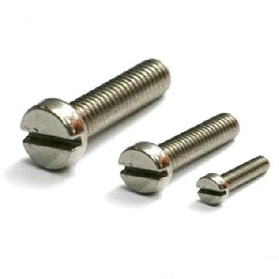 Stainless Steel Cheese Head Screws