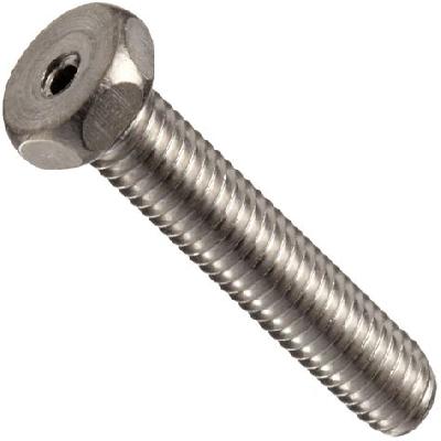 Stainless Steel Hex Head Screw