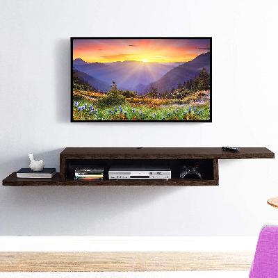 TV Set Up Box Tray