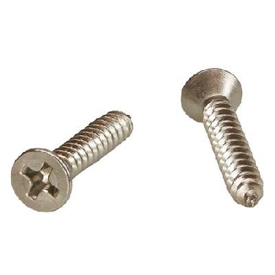 SS CSK Head Screw