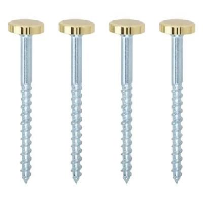 Metal Mirror Screws