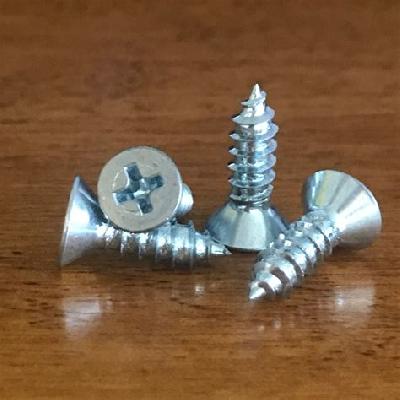 Countersunk Phillips Head Screw