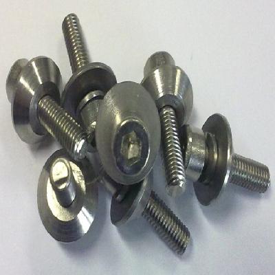 Customized Screws