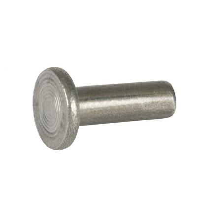 Flat Head Reduced Steel Rivets