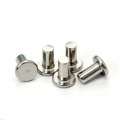 Flat Head Steel Rivets