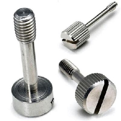 Terminal Screws