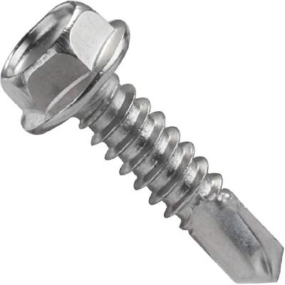 Washer Head Screw
