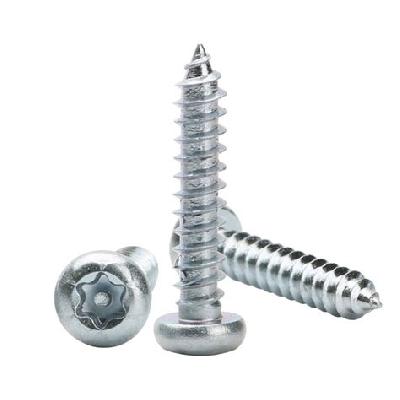 Anti Theft Screw