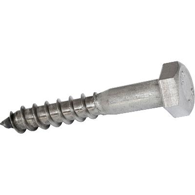 Coach Screw