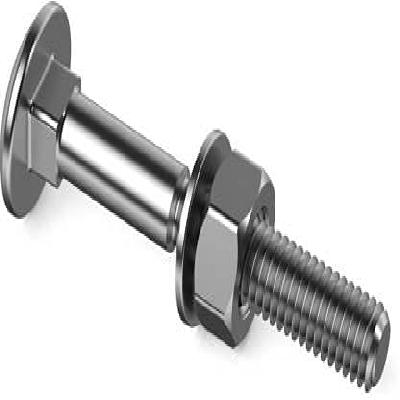 SS Carriage Bolts