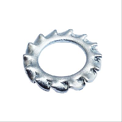 MS Lock Washer