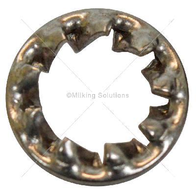 MS Dome Washer