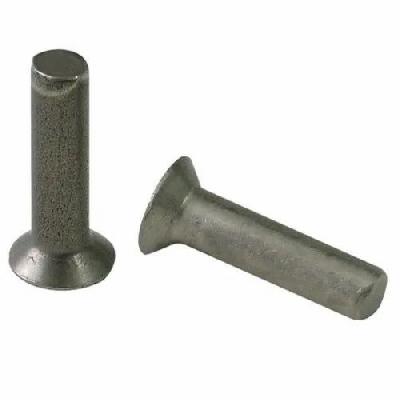 MS Flat Head Rivets