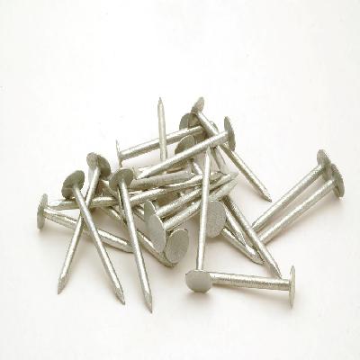 MS Roofing Nails