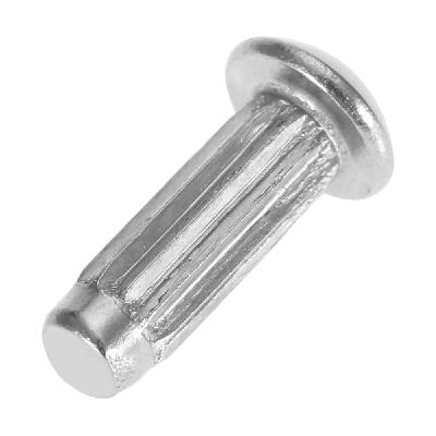 Round Head Solid Rivet