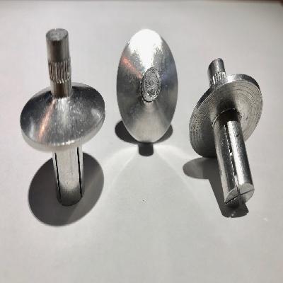 Aluminum Drive Pin Rivet
