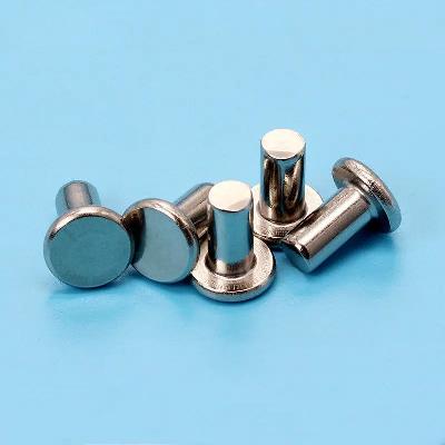 Stainless Steel Solid Rivet