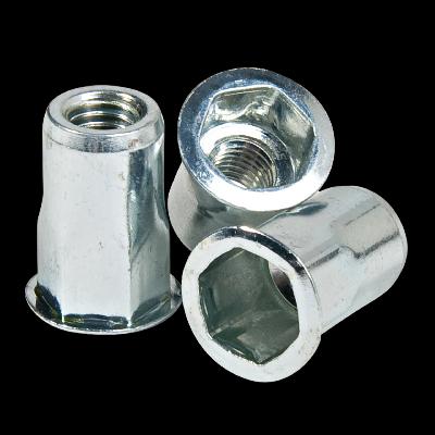 Full Hex Insert Nut Rivet Nuts