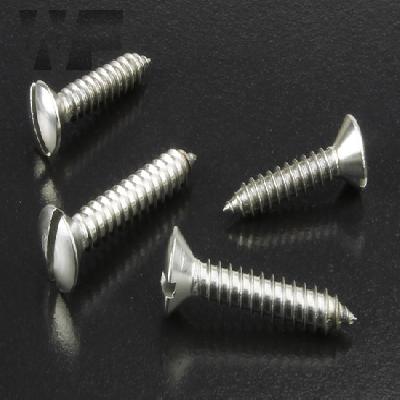 Ss Csk Slotted Screw