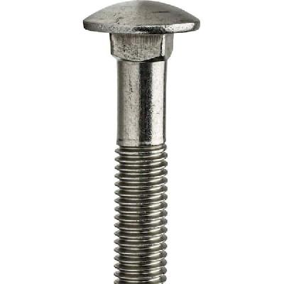 Stainless Steel Carriage Bolt