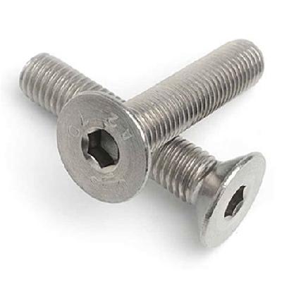 Stainless Steel Countersunk Head Screw ( SS CSK)