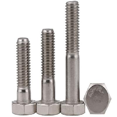 SS304 and SS316 Hex Head Stainless Steel Bolt