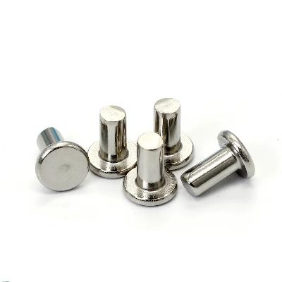 SS Flat Head Rivets