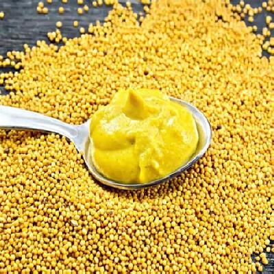 Yellow Mustard