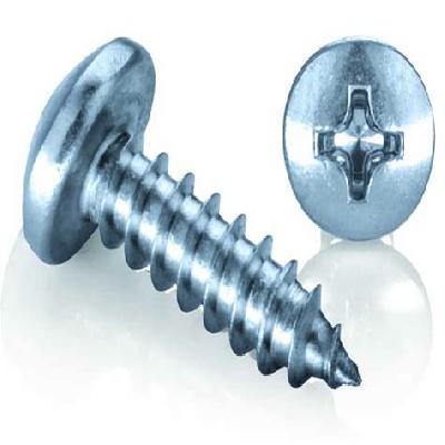 Tapping Screw  