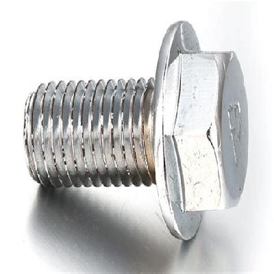 Hex Head Flange Bolt