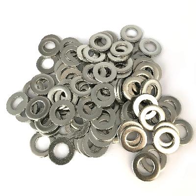 SS Plain Washer