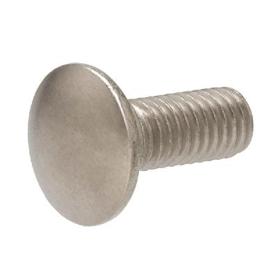 Stainless Steel Carriage Bolt