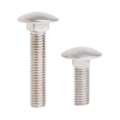 SS 304 Carriage Bolt