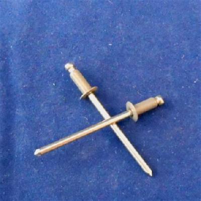 Stainless Steel Colored Rivet