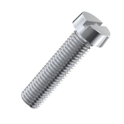 SS Cheese Head Screws