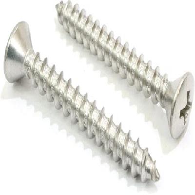 SS Self Tapping Screws