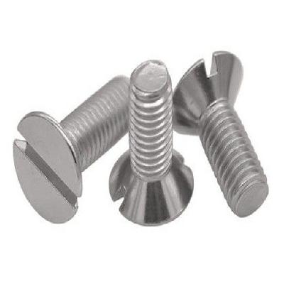 SS Slotted CSK Screw
