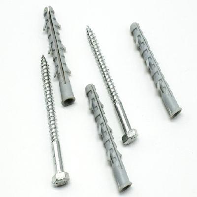 Screw With Nylon Wall Plug