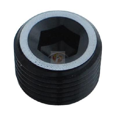 Automotive Hex Socket Plug