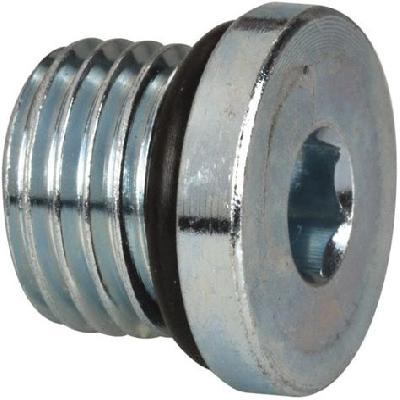 Hex Socket Plug