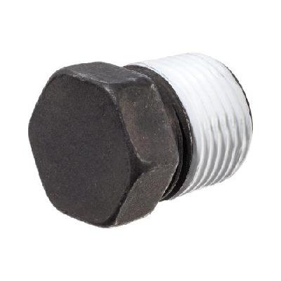 Sealent Coated Plug